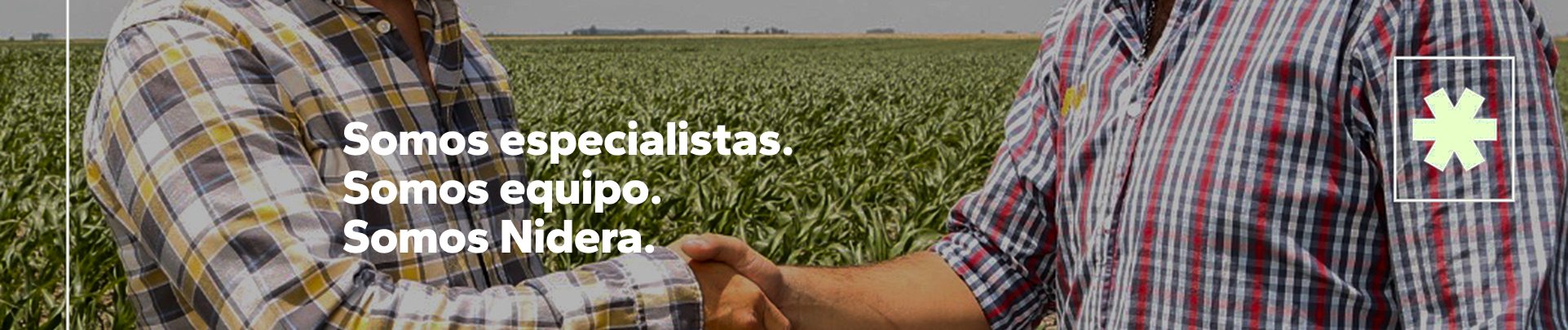 Descripción de la imagen y el llamado a la acción