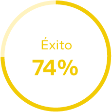 Gráfico de éxito 74%