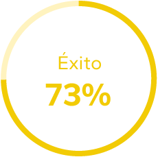 Gráfico de éxito 73%