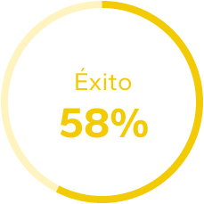 Gráfico de éxito 58%