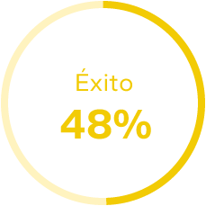Gráfico de éxito 48%