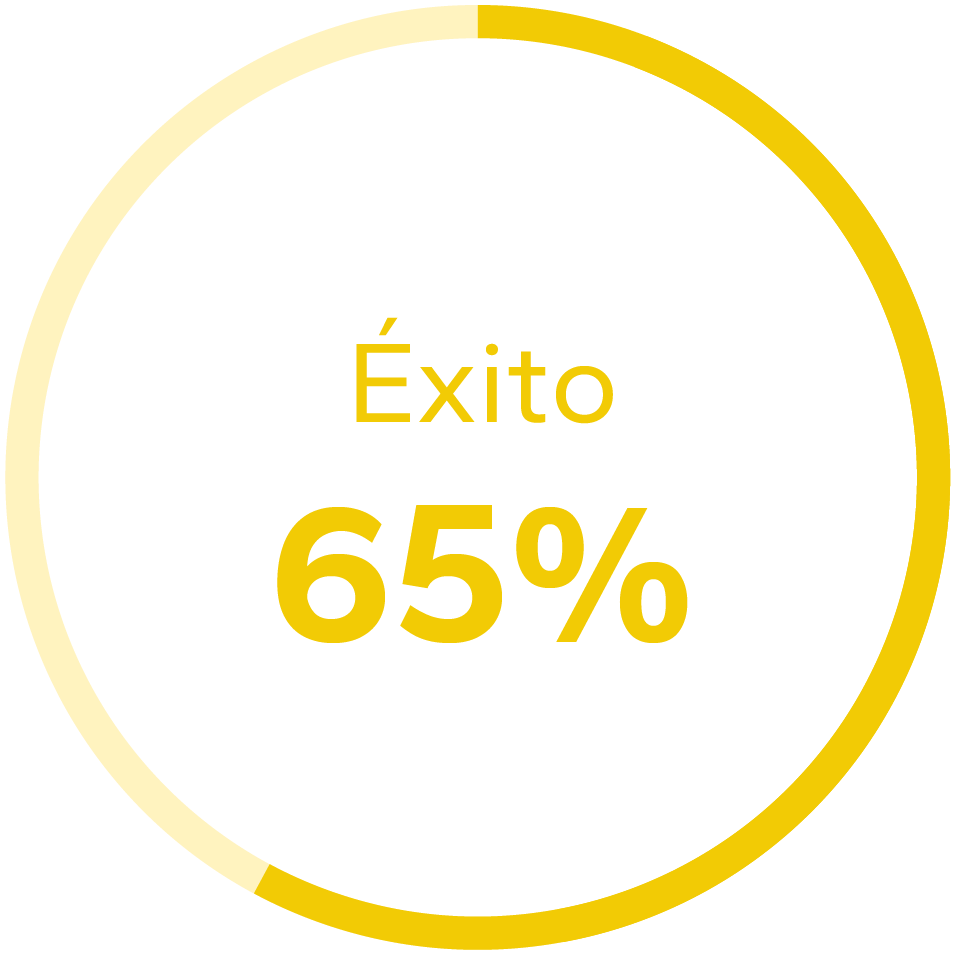 Gráfico de éxito 65%