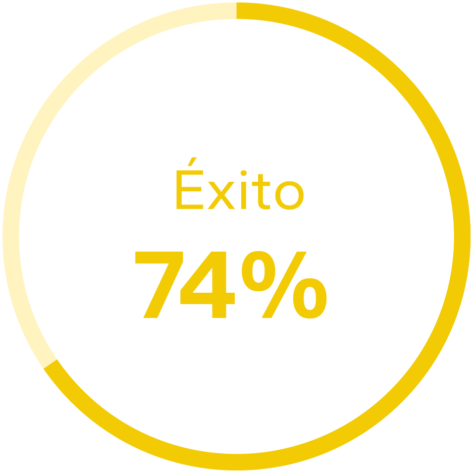 Gráfico de éxito 74%