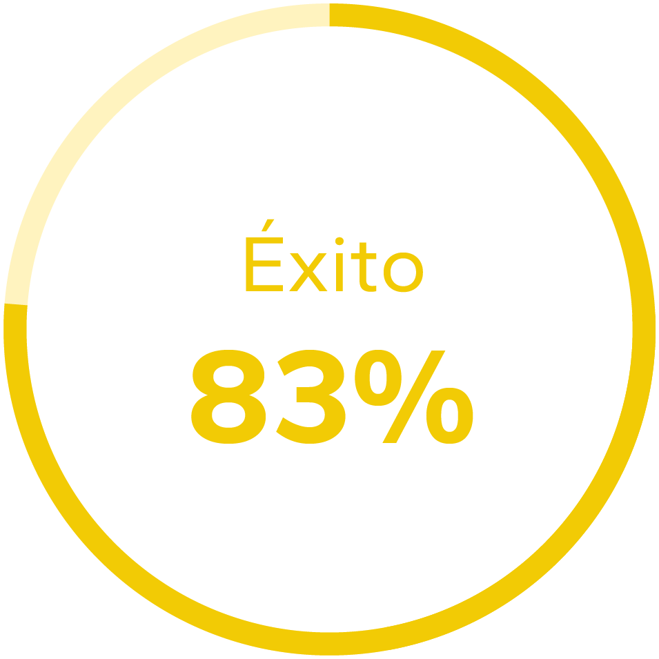 Gráfico de éxito 58%
