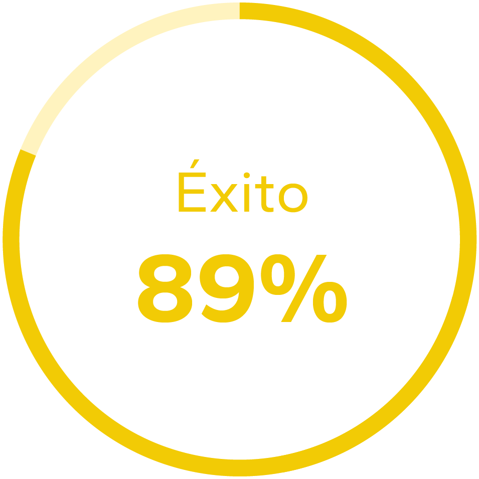 Gráfico de éxito 59%