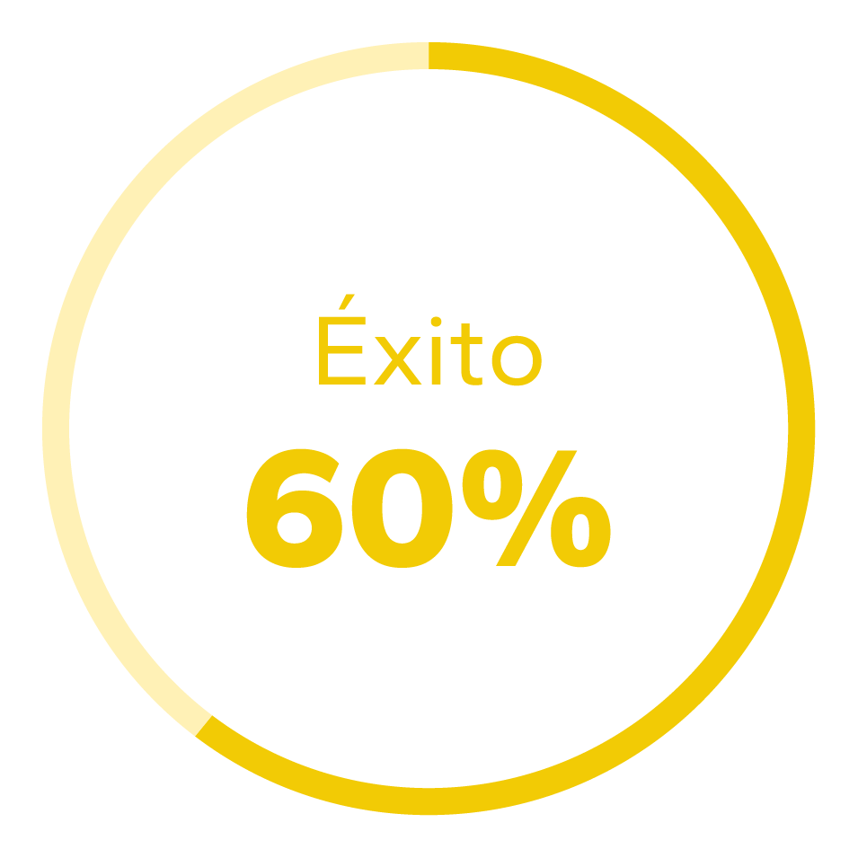 Gráfico de éxito 60%