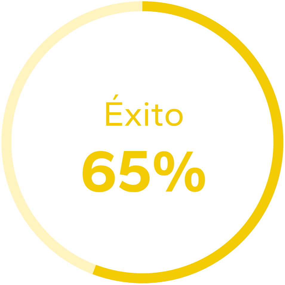 Gráfico de éxito 65%